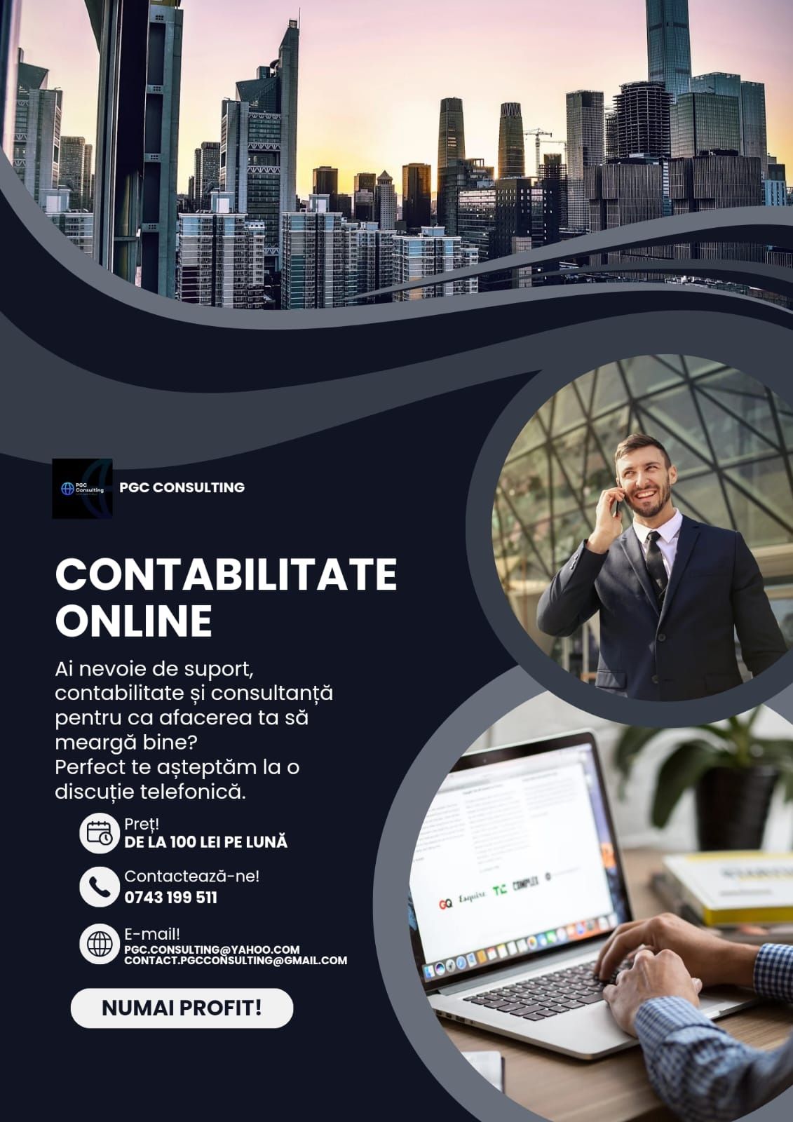 Servicii contabile online