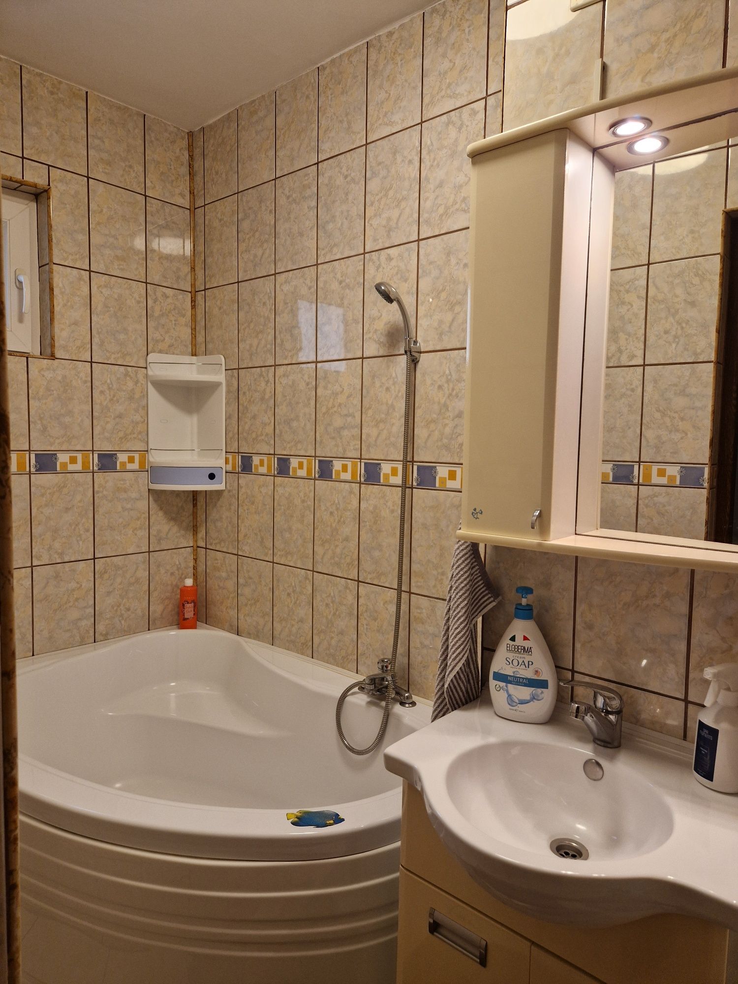 Apartament 3 camere partial mobilat, zona Garii