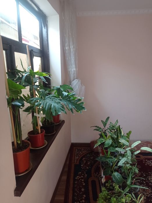 Продам дом 2 комнатный