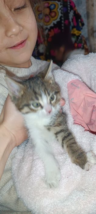 Отдам в хорошие руки