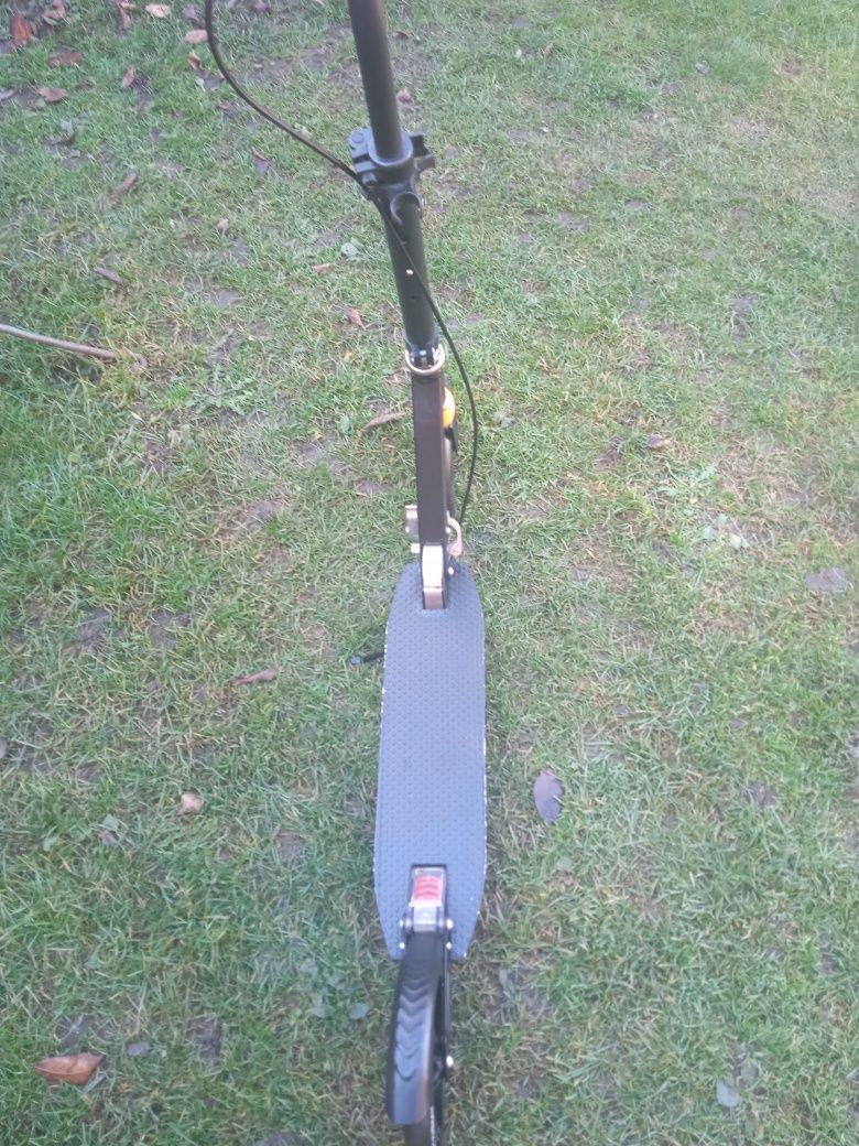 Vand trotineta Scooter