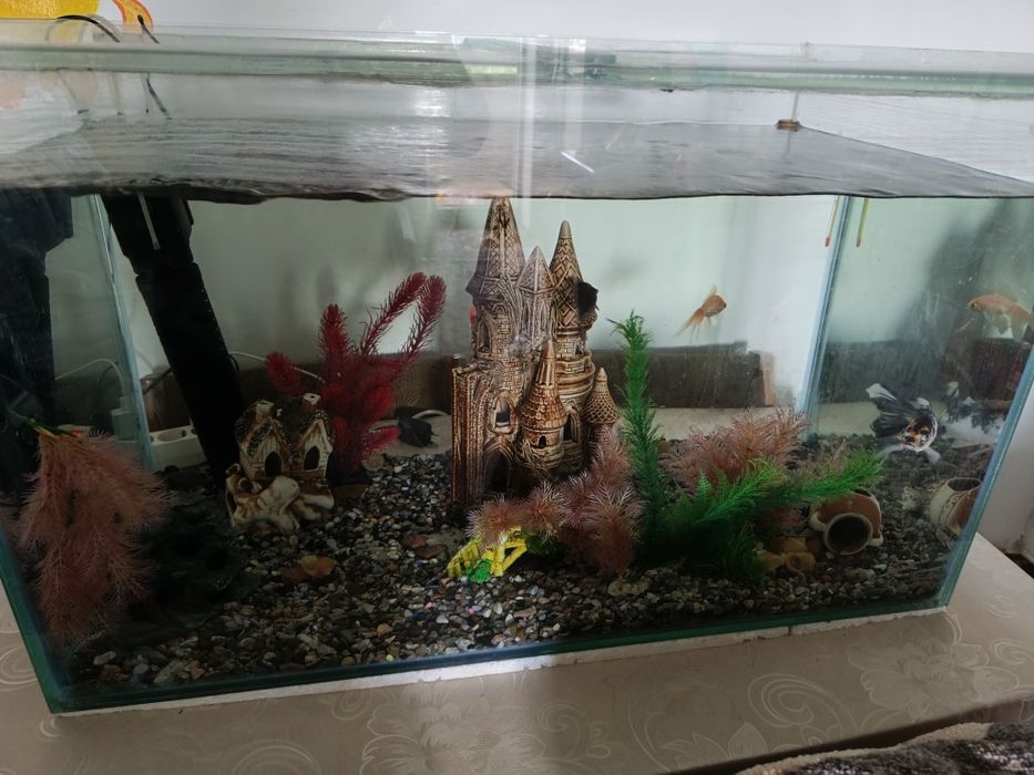 Продам аквариум 250л