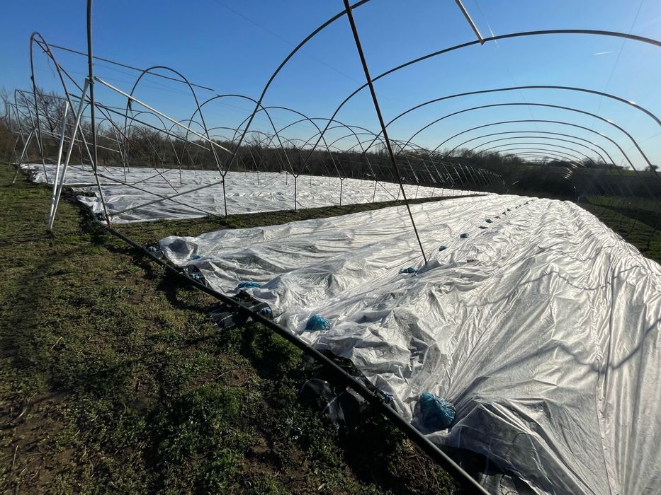 Vand urgent afacere la cheie in Scurtu Slavesti , Teleorman