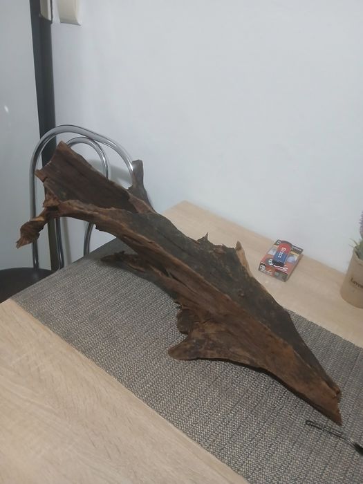 Acvariu pentru pești