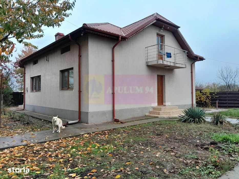 Islaz / If - Casa P+1 (7 Cam) De Vanzare