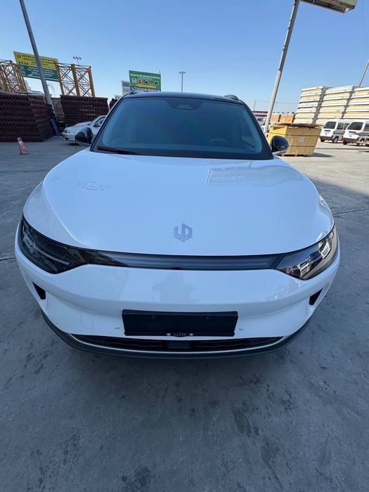 Leapmotor C11 performans EV dual motor