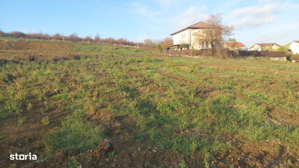 Barnova - teren de casa intravilan, 725 mp utili, peisaj frumos