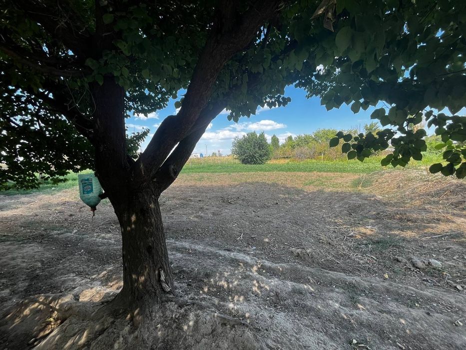 Xovli sotiladi 24 sotik zaxvat joylari bor