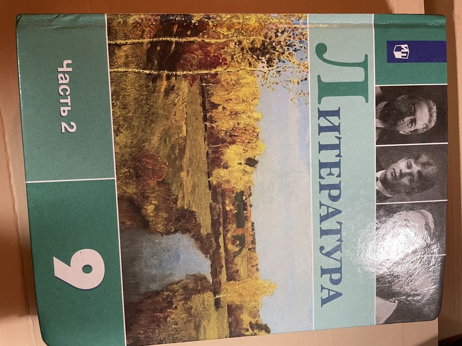 Учебник по литературе ( 9 класс) 2 часть.