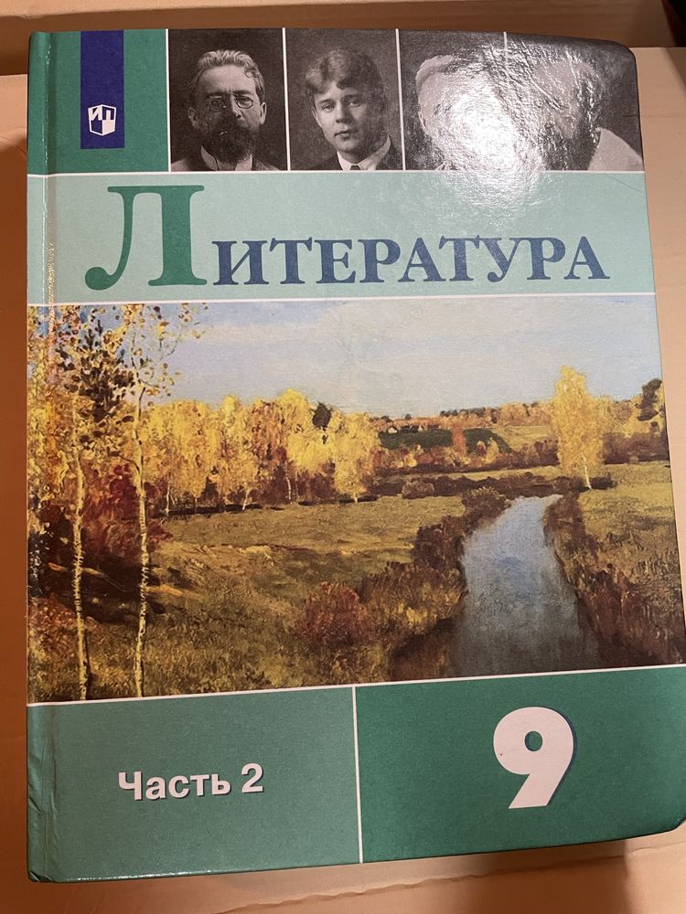 Учебник по литературе ( 9 класс) 2 часть.