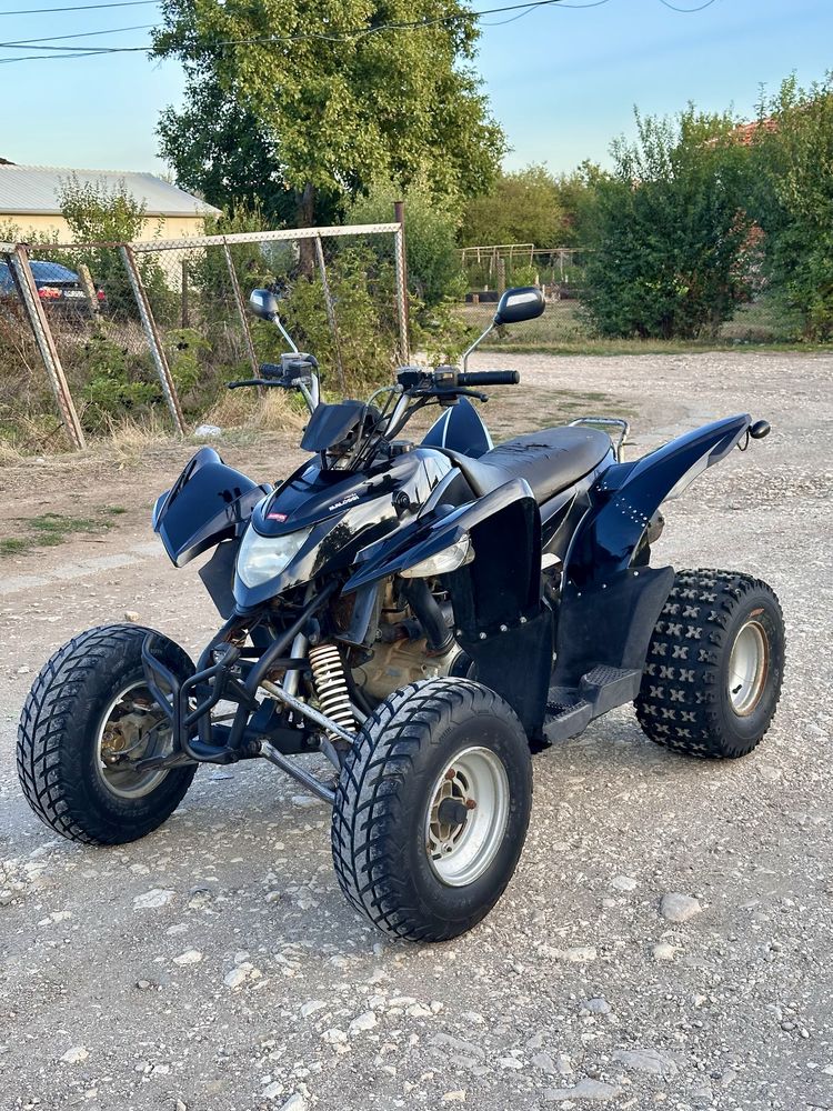 АТВ 320кубика Aeon cobra Automatic
