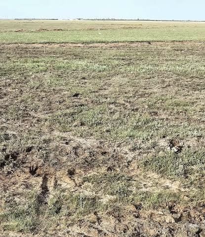 Земельный участок п.Жибек Жолы 7 соток