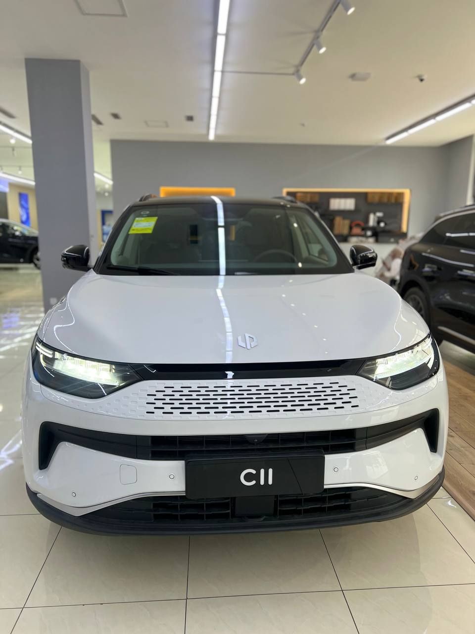 Leapmotor C11 Smart pozitsia