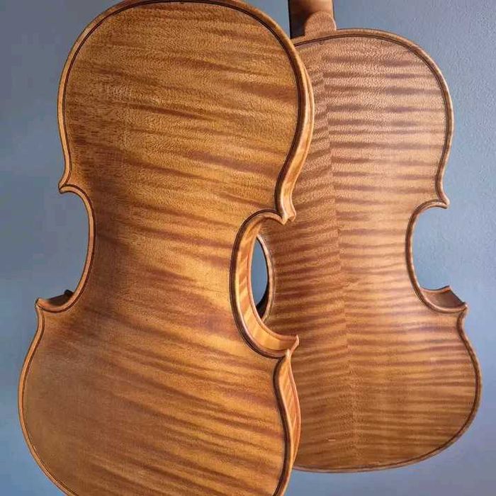 Instrumente muzicale ( viori , violoncel , contrabass .