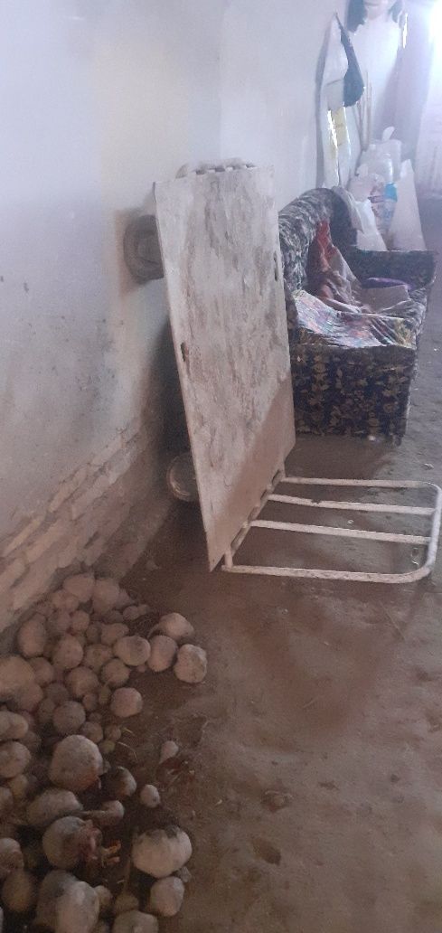 Тендир телашка сотилади
