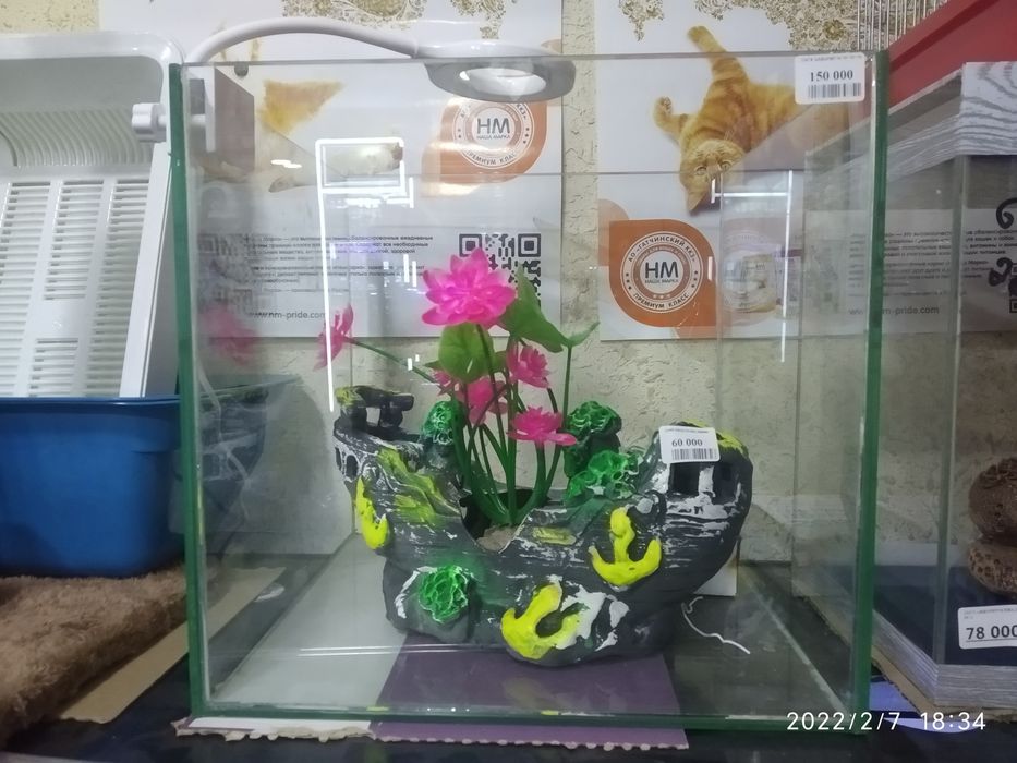 Продам декоративные аквариумы