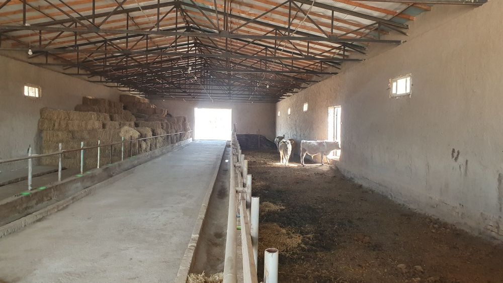 Ферма биноси сотилади.