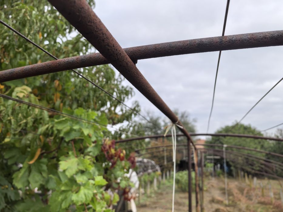 Оранжерия 28 метра