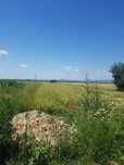 Teren de vanzare