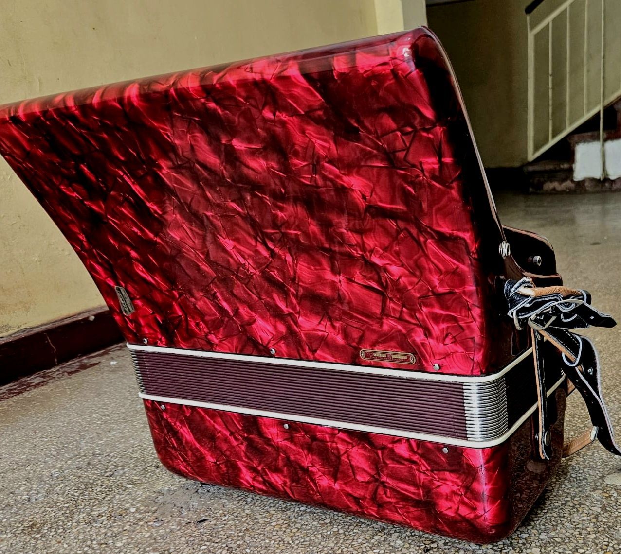 Acordeon Parrot 60 basi