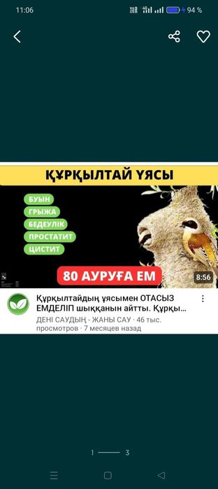 Куркултайдын уясы 80 түрлі ауруға емдик касиети көп