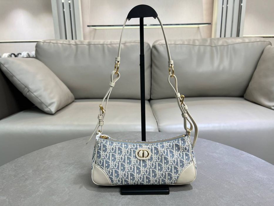 Geanta Christian Dior Wanderlust 30 Montaigne