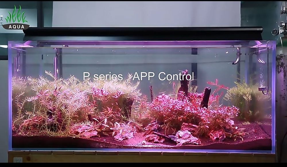 Осветление за аквариум на WEEK AQUA
