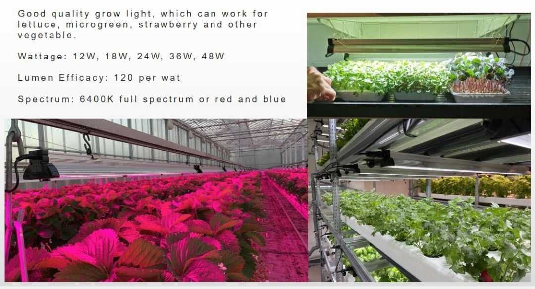 Lumină led de creștere plante,legume  6400K, lumină de zi, 48 w, 107cm