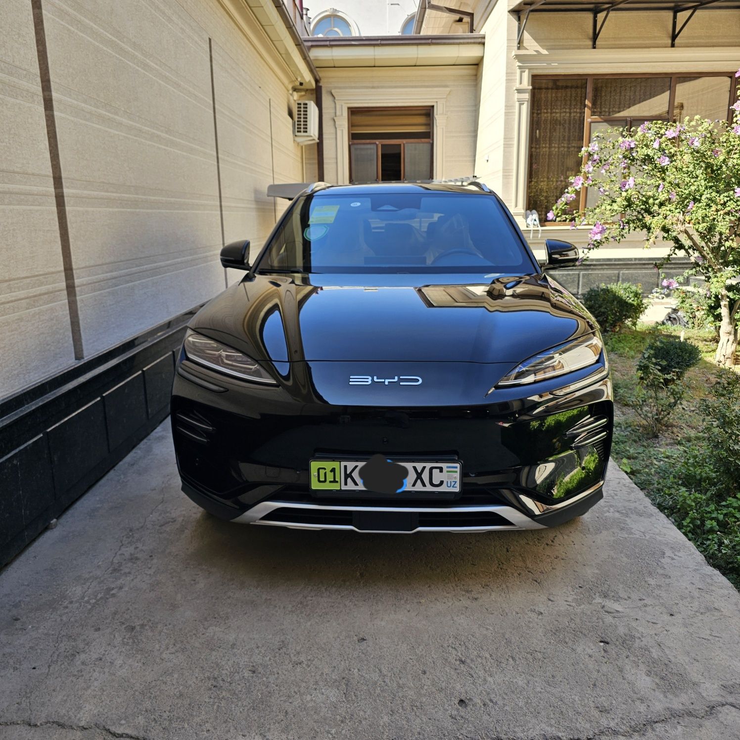 BYD  chempion 605km