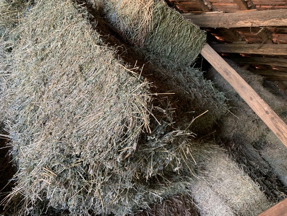 Baloți lucernă și ovăz