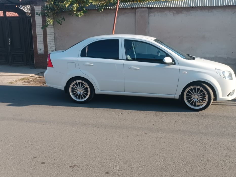 Vossen 17 yengi 205,45 17