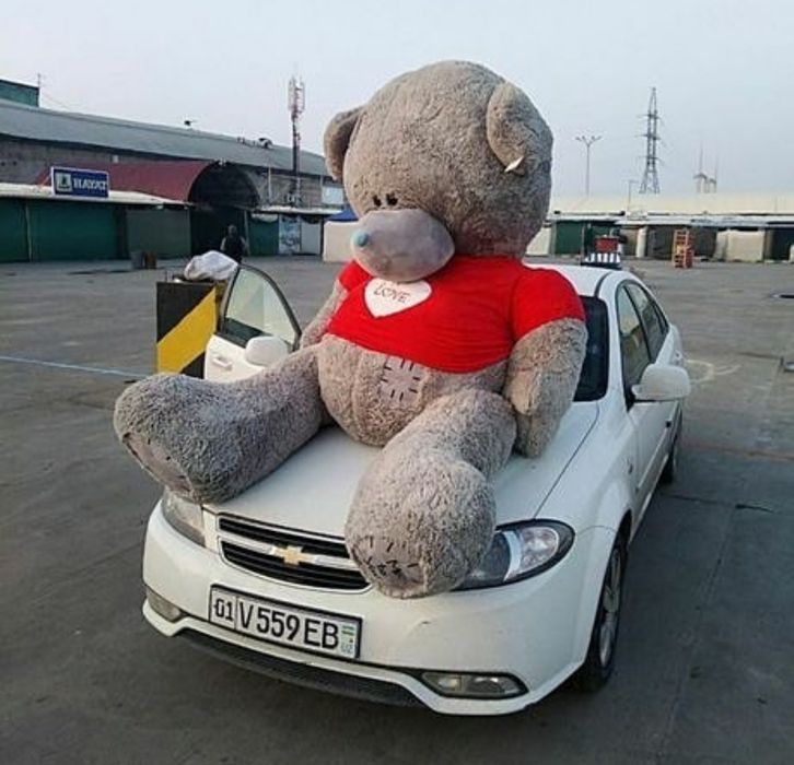 Teddi ayiqlar /Тедди Айиклар 30sm 3metrgacha