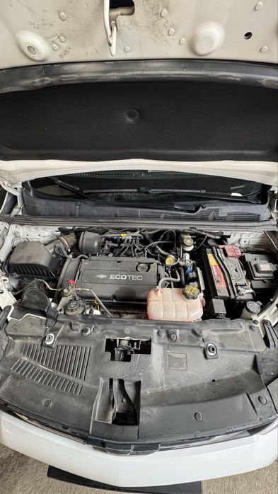 Tracker 1 2019 kraska toza