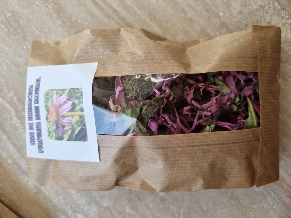 Echinaceea Purpurea răsad și ceaiuri