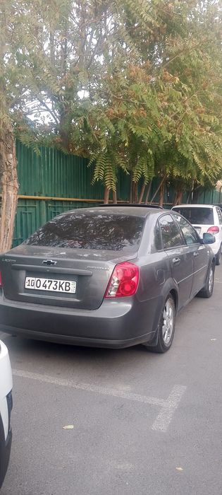 Orqa 2 kriloda kraska bor