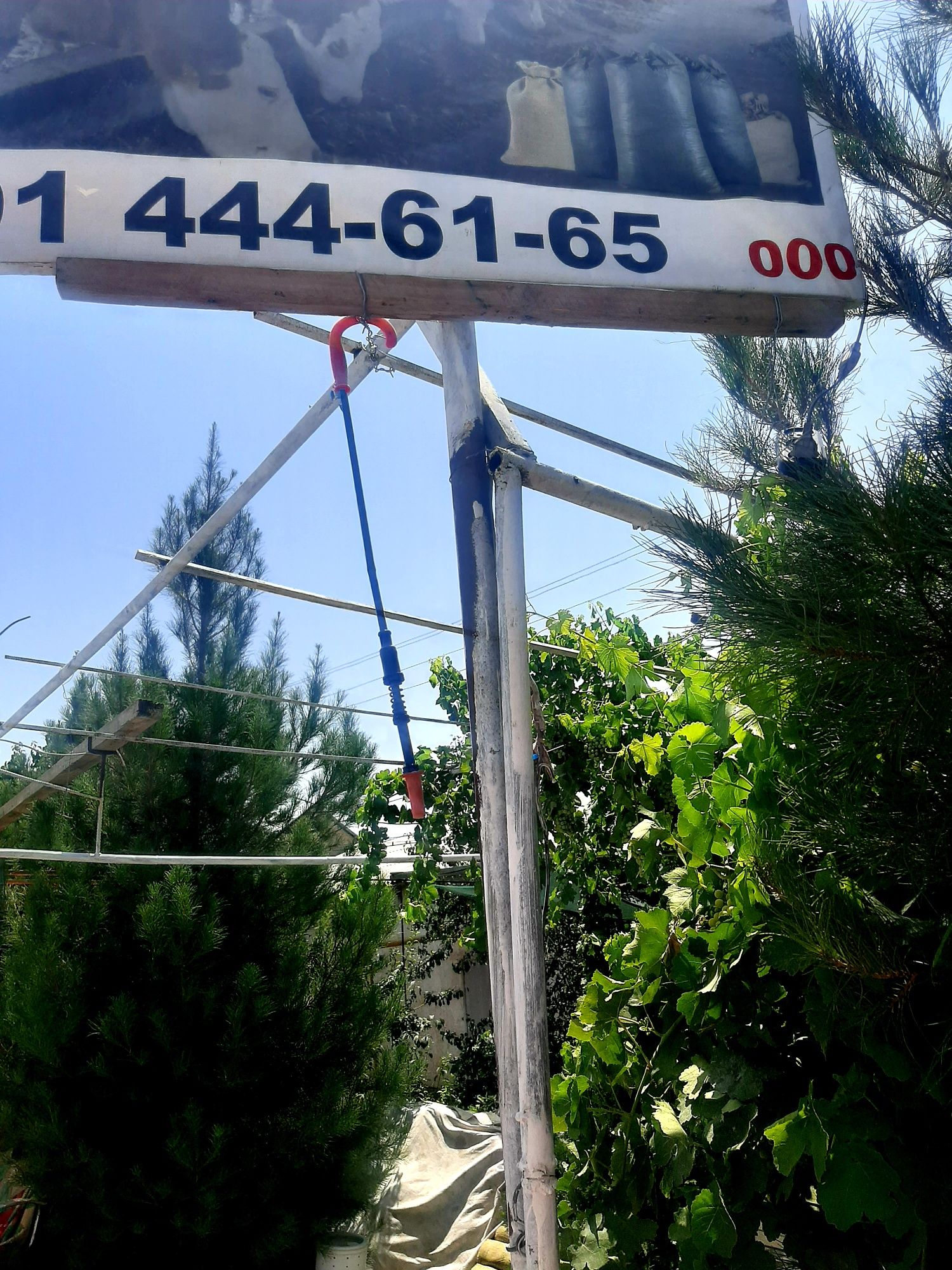 Selos sotiladi narxlari xamyonbop  donli