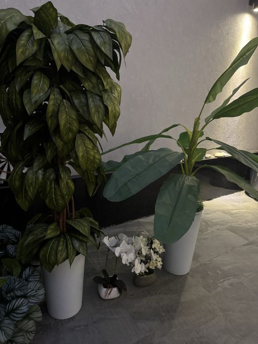 Искусственные растения, декор для дома