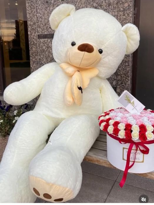 Жұмсақ үлкен аю,Мягкии Мишка