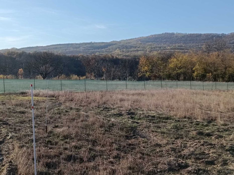 Teren de vânzare intravilan 749 mp deal-munte