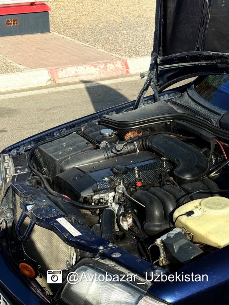•Mercedes-Benz W202 C320•