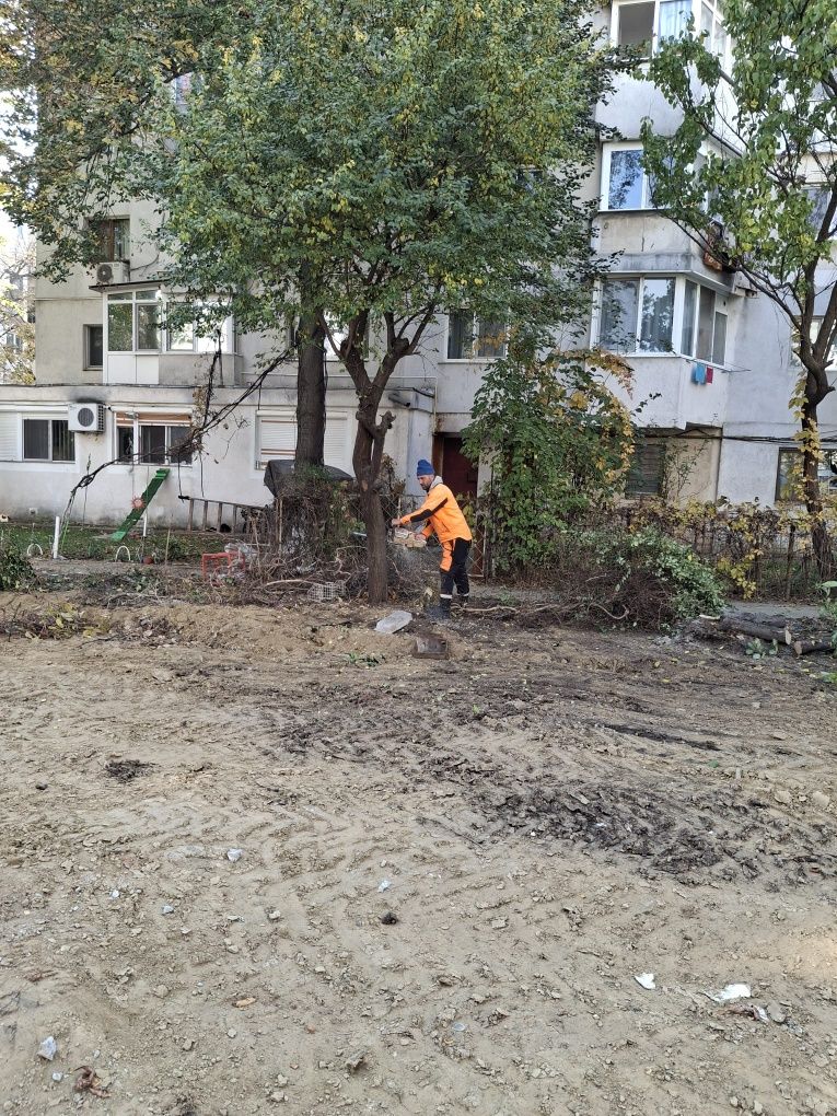 Defrișări/Tăieri Arbori/Cosit Vegetație/Tuns Gard Viu/Rapid