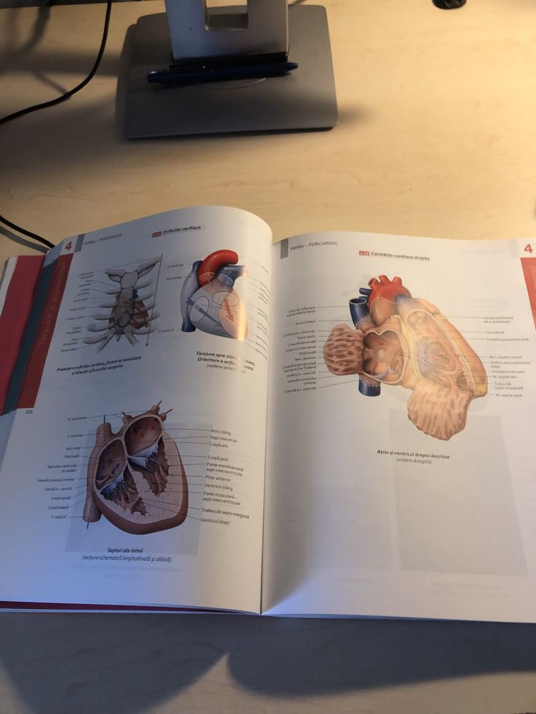 Atlas de anatomie Pierre Kamina NOU MEDICINA