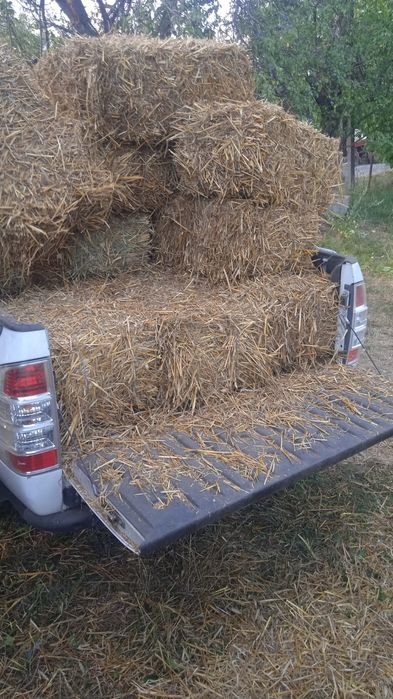 Vând baloti din paie de triticale
