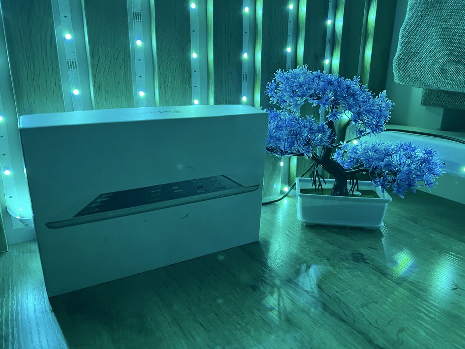 iPad mini 2013 года