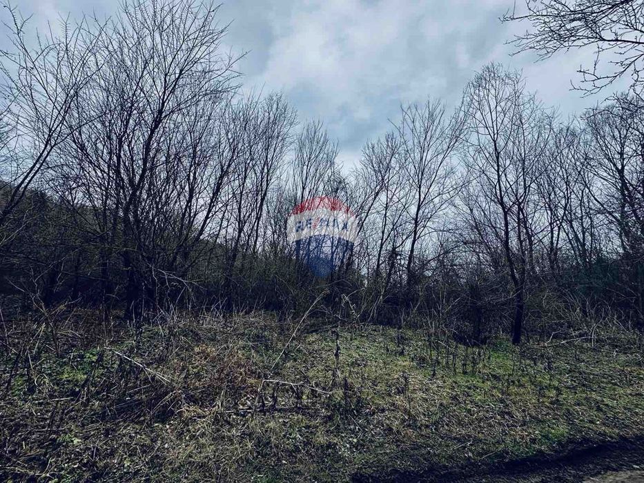 Продава се Парцел в с. Църква, Област Добрич - 25000 кв.м за 3 €/кв.м - Снимка #5