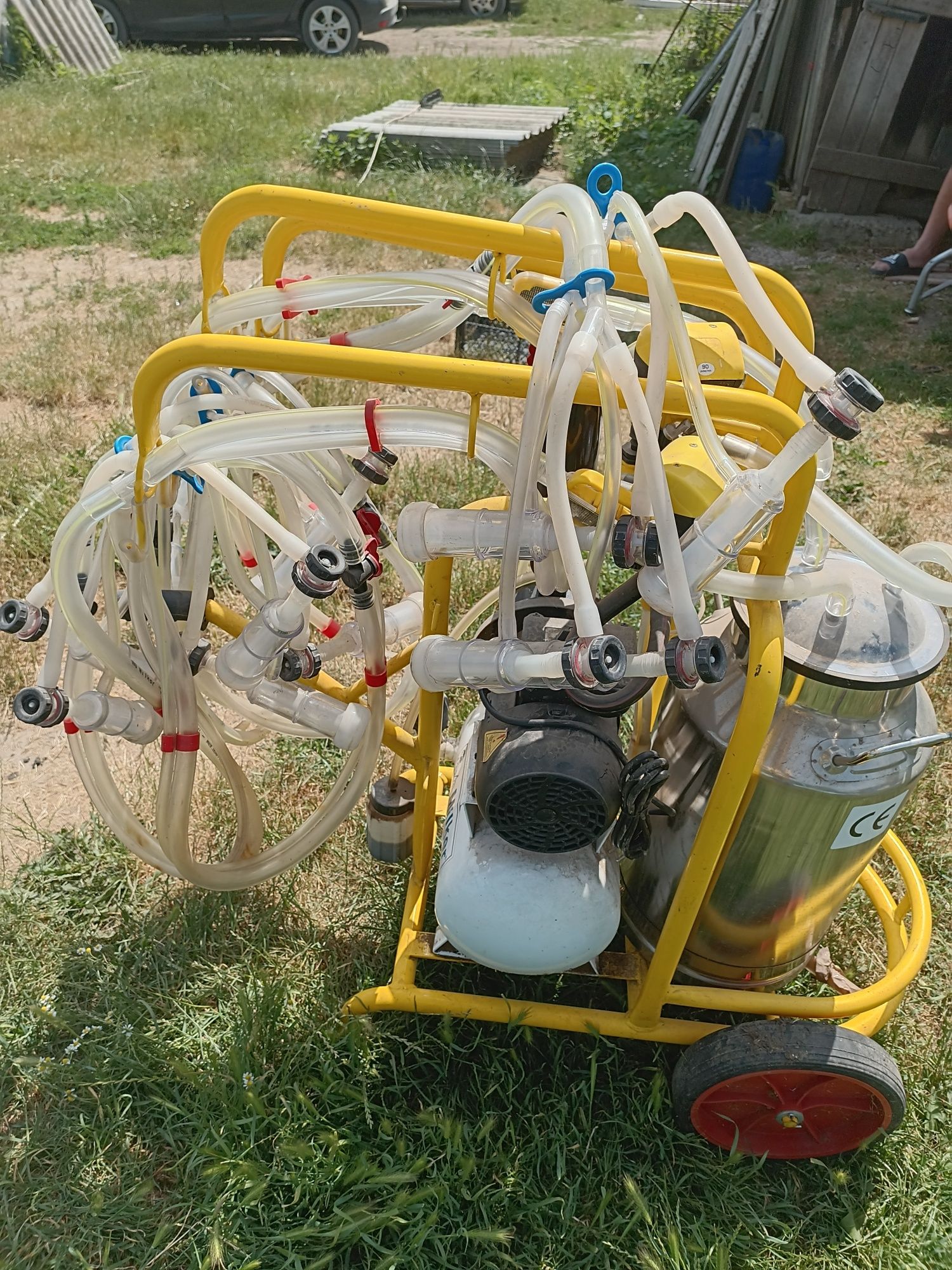 Milker aparat de muls oi și capre cu 6 posturi