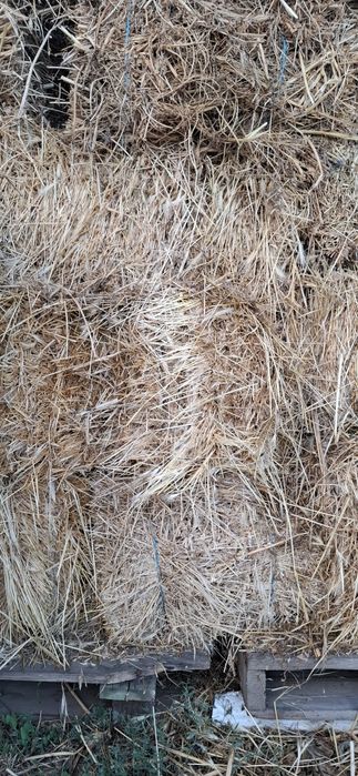 Baloti iarba din 2025