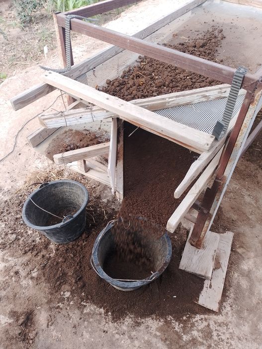 Хивада биягомус сатилади 1500 сум