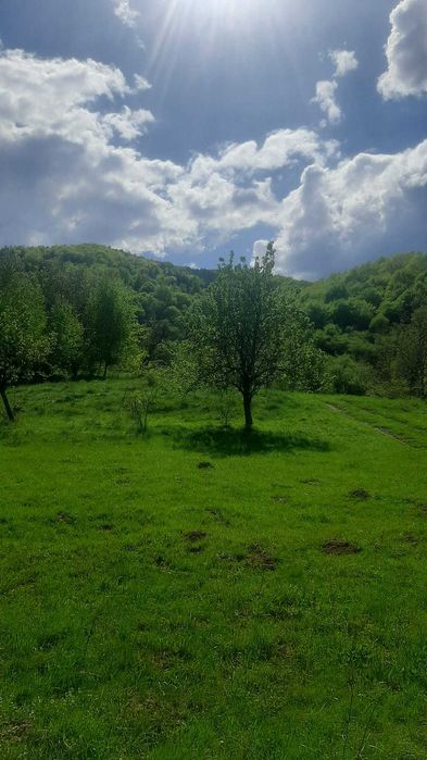 Vand teren zona Sibiel-Marginimea Sibiului