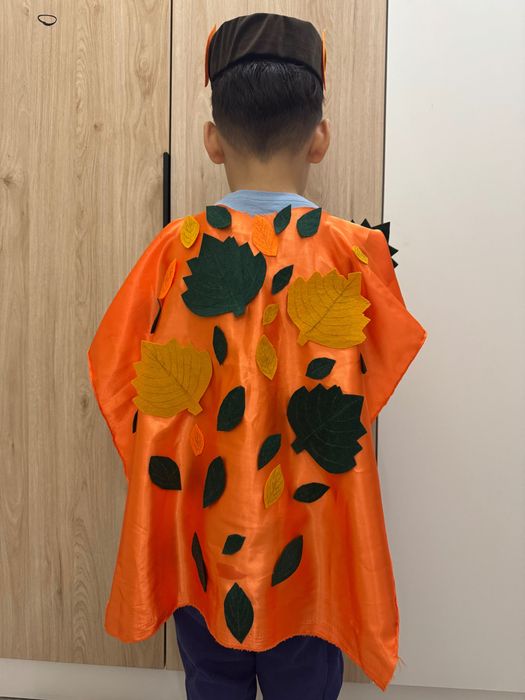 Костюм одежда осенний балл